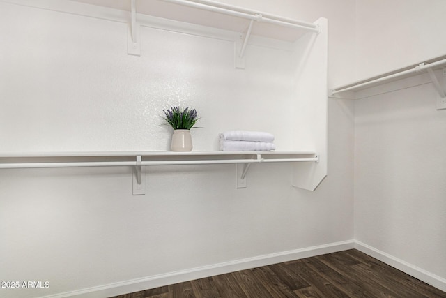 walk in closet with dark wood-type flooring