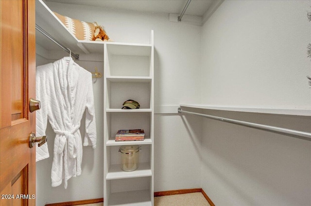 view of spacious closet