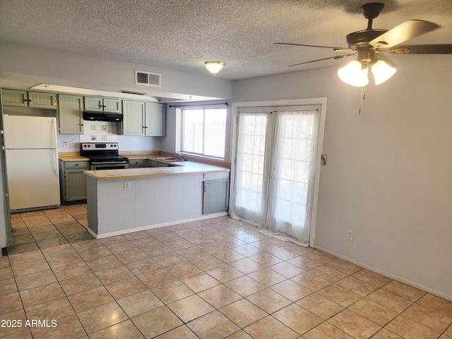 7525 W Turney Ave, Phoenix, AZ 85033 - kitchen with freestanding refrigerator, electric range, green cabinets, a sink, and a peninsula