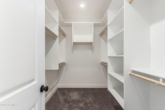 walk in closet featuring dark colored carpet