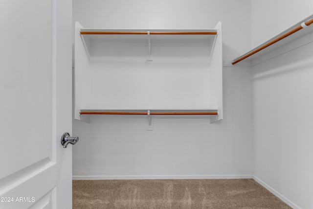 spacious closet featuring carpet floors