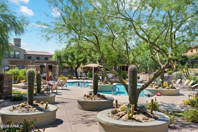 view of swimming pool with a patio area