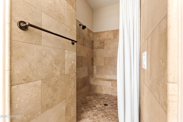 2457 E Melrose St, Mesa, AZ 85213 - bathroom with a stall shower