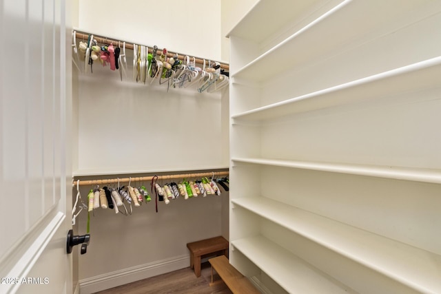 2457 E Melrose St, Mesa, AZ 85213 - spacious closet with wood finished floors