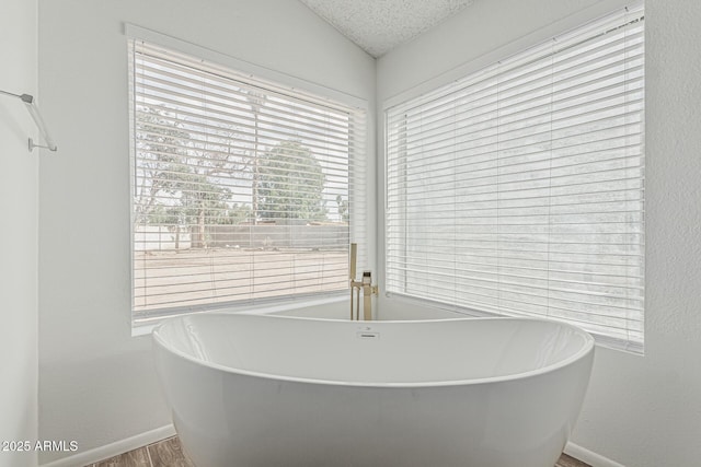 6701 W Monterey Way, Phoenix, AZ 85033 - bathroom with baseboards, a freestanding bath, wood finished floors, and vaulted ceiling