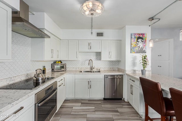 kitchen with white cabinetry, sink, ventilation hood, and appliances with stainless steel finishes