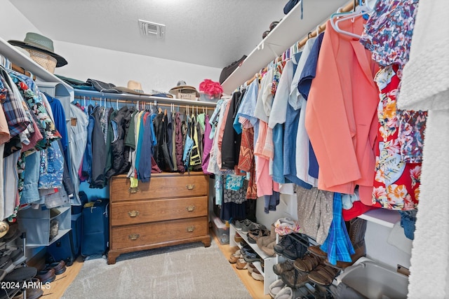 view of spacious closet