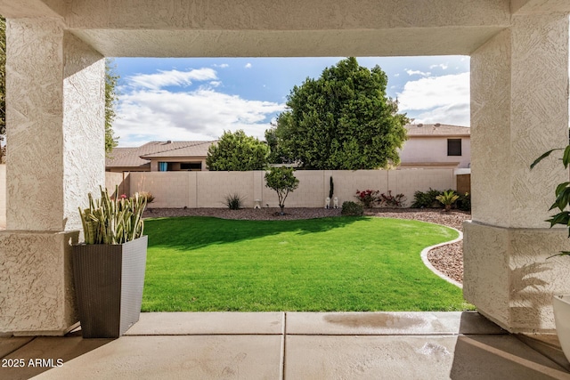 view of yard with a patio area and a fenced backyard