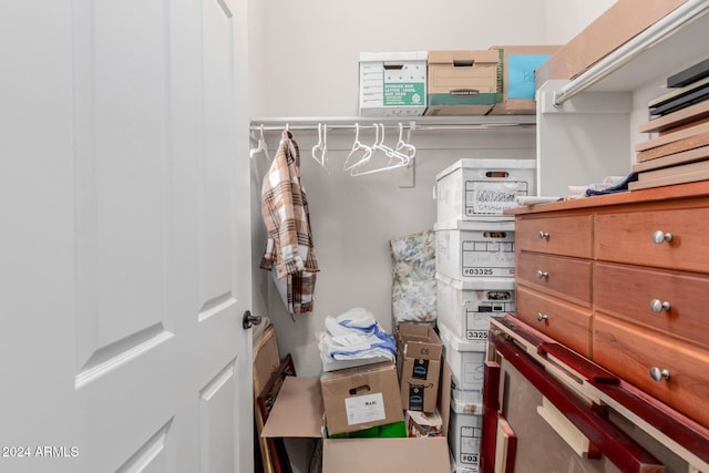 view of spacious closet