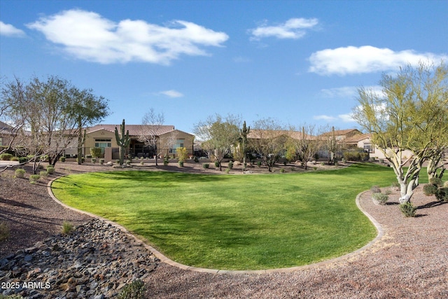 view of community with a yard
