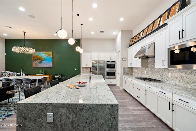 kitchen with a sink, tasteful backsplash, wood finished floors, exhaust hood, and appliances with stainless steel finishes