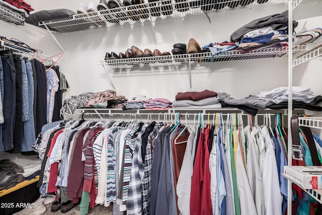 view of spacious closet