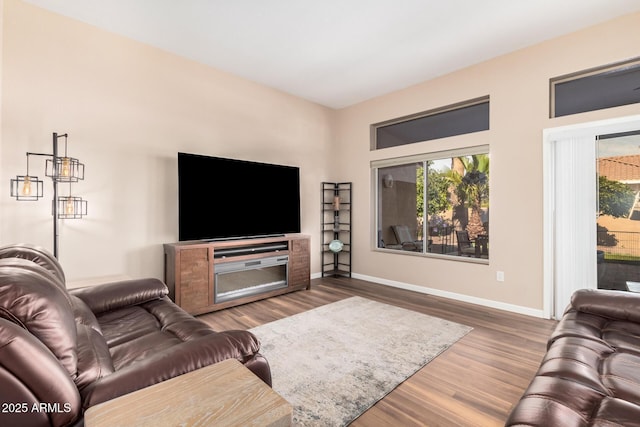 living room featuring hardwood / wood-style floors and a wealth of natural light