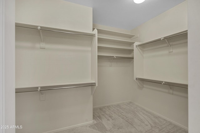 walk in closet with light carpet