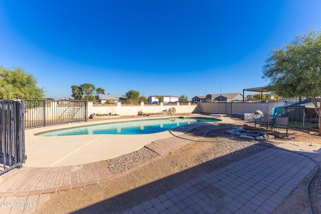 view of pool with a diving board and a patio area