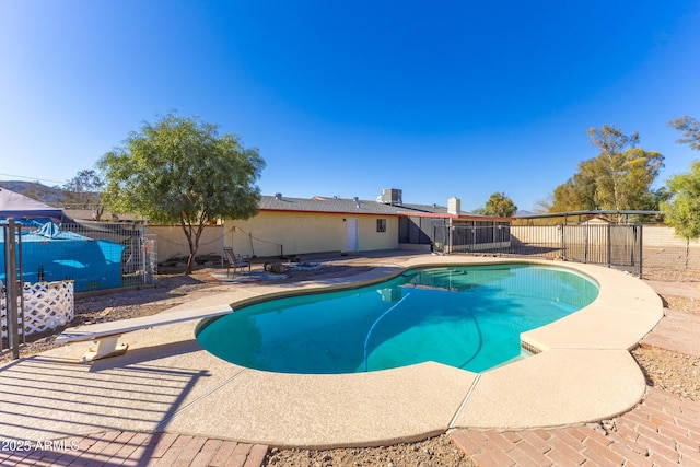 view of pool with a patio and a diving board