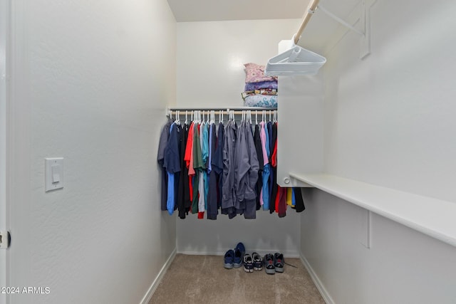 spacious closet with carpet