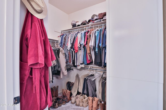 view of walk in closet