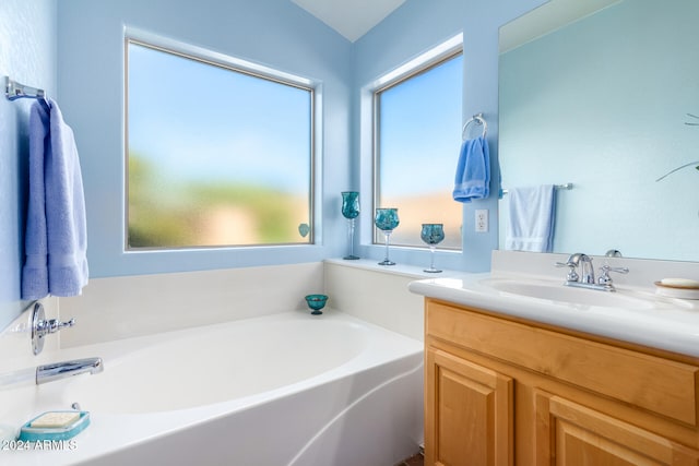 bathroom featuring vanity and a bathing tub