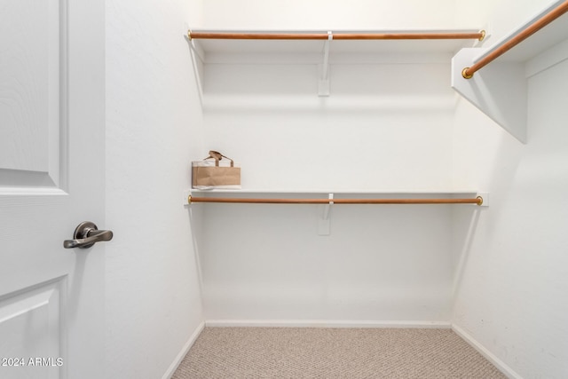 spacious closet with light colored carpet