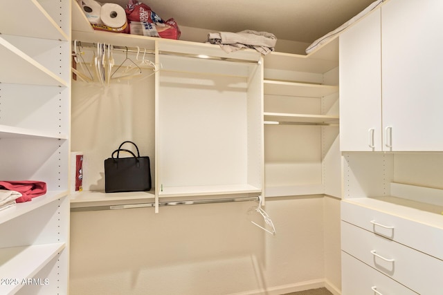 view of walk in closet