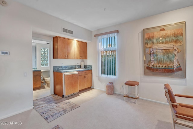 kitchen featuring light carpet, sink, and a healthy amount of sunlight