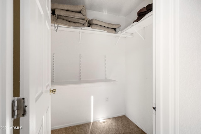 walk in closet with carpet