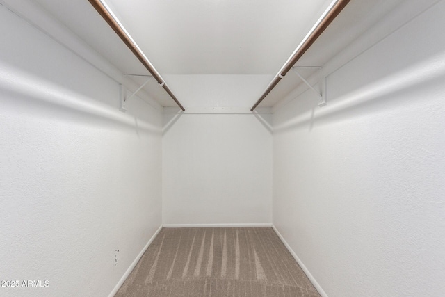 spacious closet with carpet