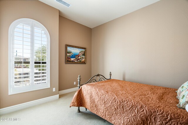 4126 S Last Chance Trl, Gold Canyon, AZ 85118 - carpeted bedroom with baseboards
