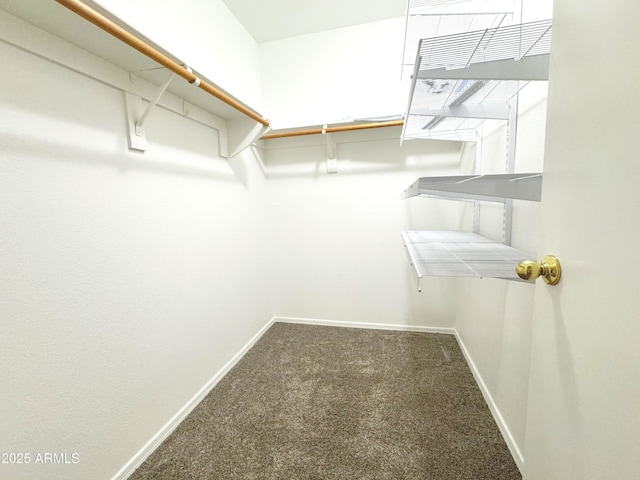 spacious closet with carpet