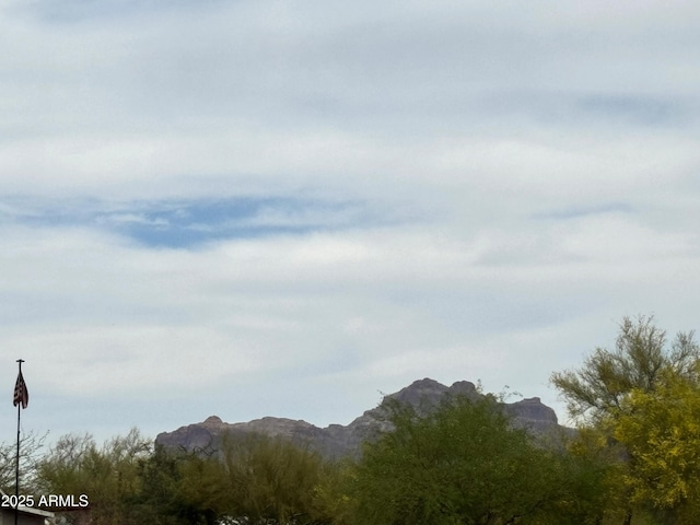 mountain view