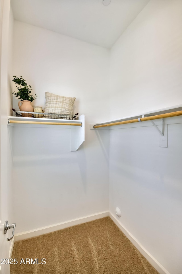 28722 N 133rd Ln, Peoria, AZ 85383 - walk in closet featuring carpet