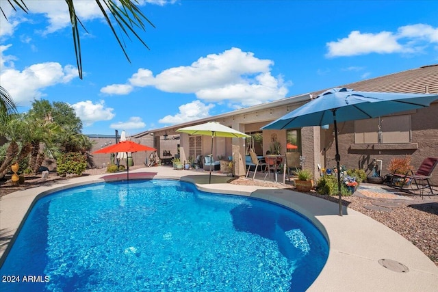 view of pool with a patio area