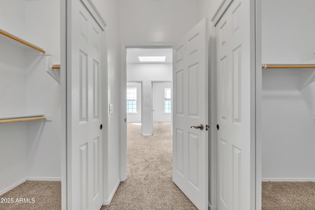 walk in closet with light colored carpet