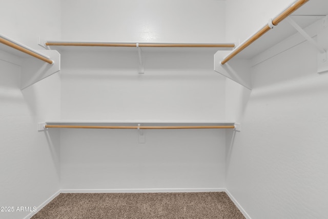 walk in closet featuring carpet floors