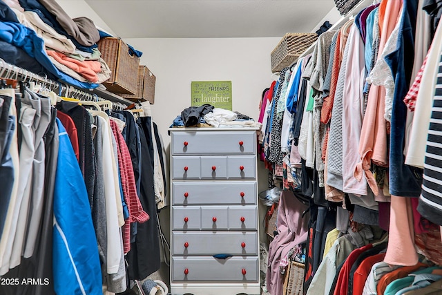 view of walk in closet