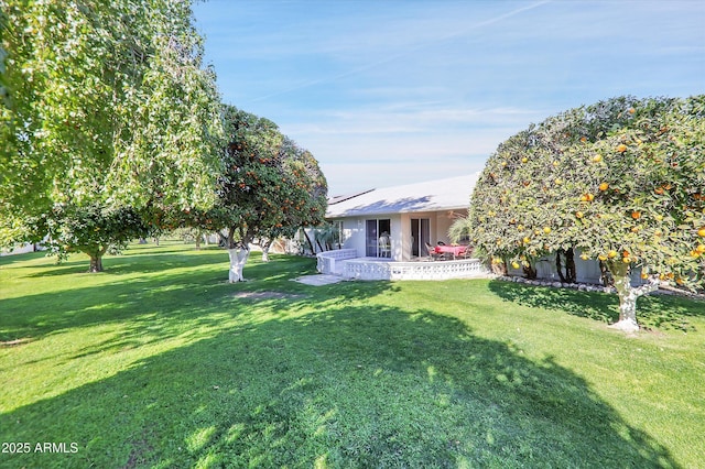 view of yard featuring a patio