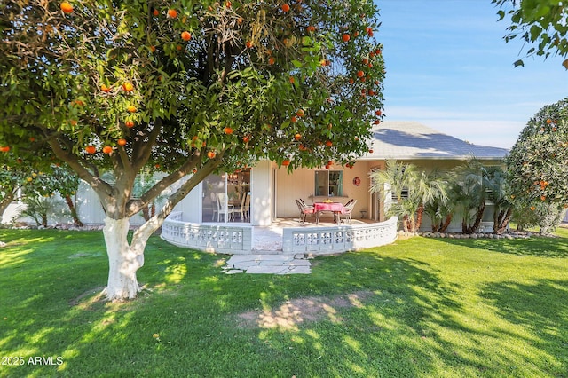 exterior space featuring a patio and a lawn