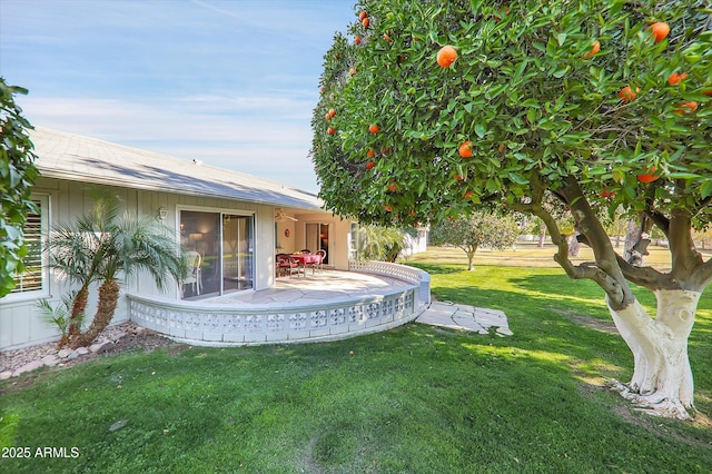 view of yard featuring a patio