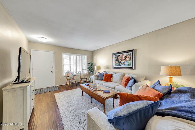 living room featuring dark wood-type flooring