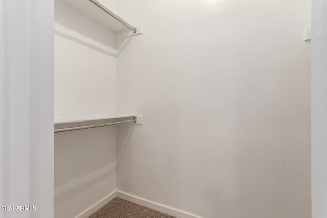 spacious closet featuring carpet