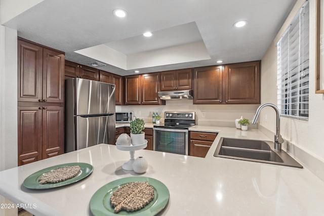 kitchen with kitchen peninsula, dark brown cabinetry, sink, a raised ceiling, and appliances with stainless steel finishes