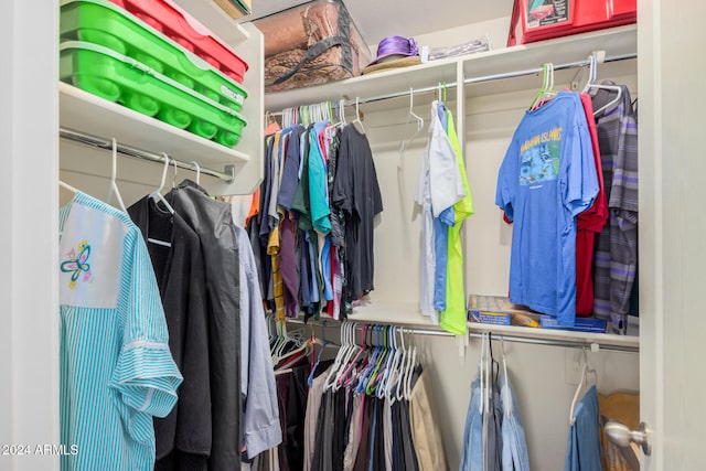 view of walk in closet