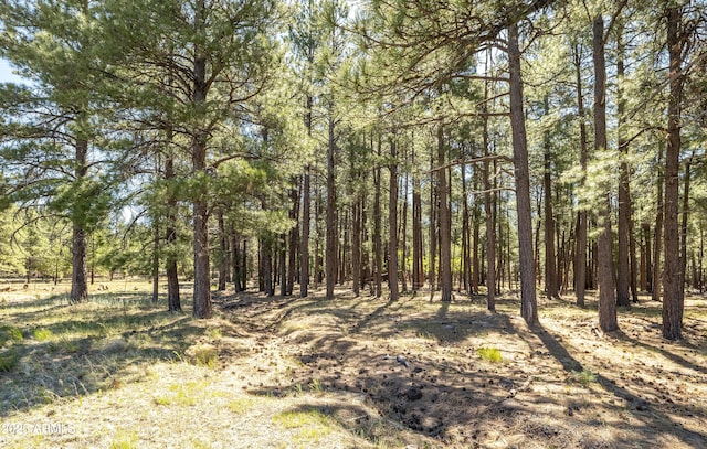 295 E Foxboro Rd Unit 5, Munds Park, AZ 86017