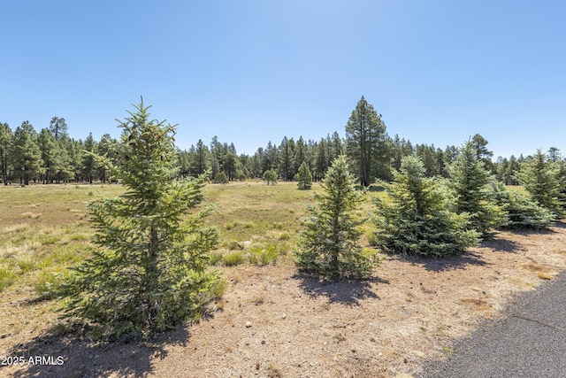 295 E Foxboro Rd Unit 5, Munds Park, AZ 86017