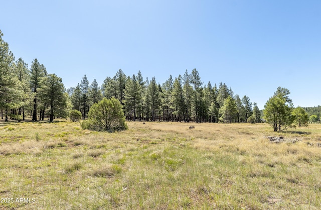 295 E Foxboro Rd Unit 5, Munds Park, AZ 86017