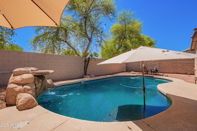view of swimming pool with a patio, a fenced in pool, and a fenced backyard