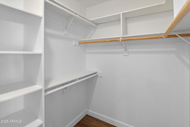 spacious closet with dark wood-style flooring