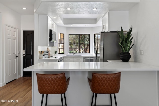 kitchen with appliances with stainless steel finishes, a peninsula, a tray ceiling, white cabinets, and recessed lighting