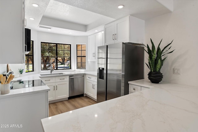 kitchen featuring appliances with stainless steel finishes, a tray ceiling, light stone counters, a sink, and white cabinets